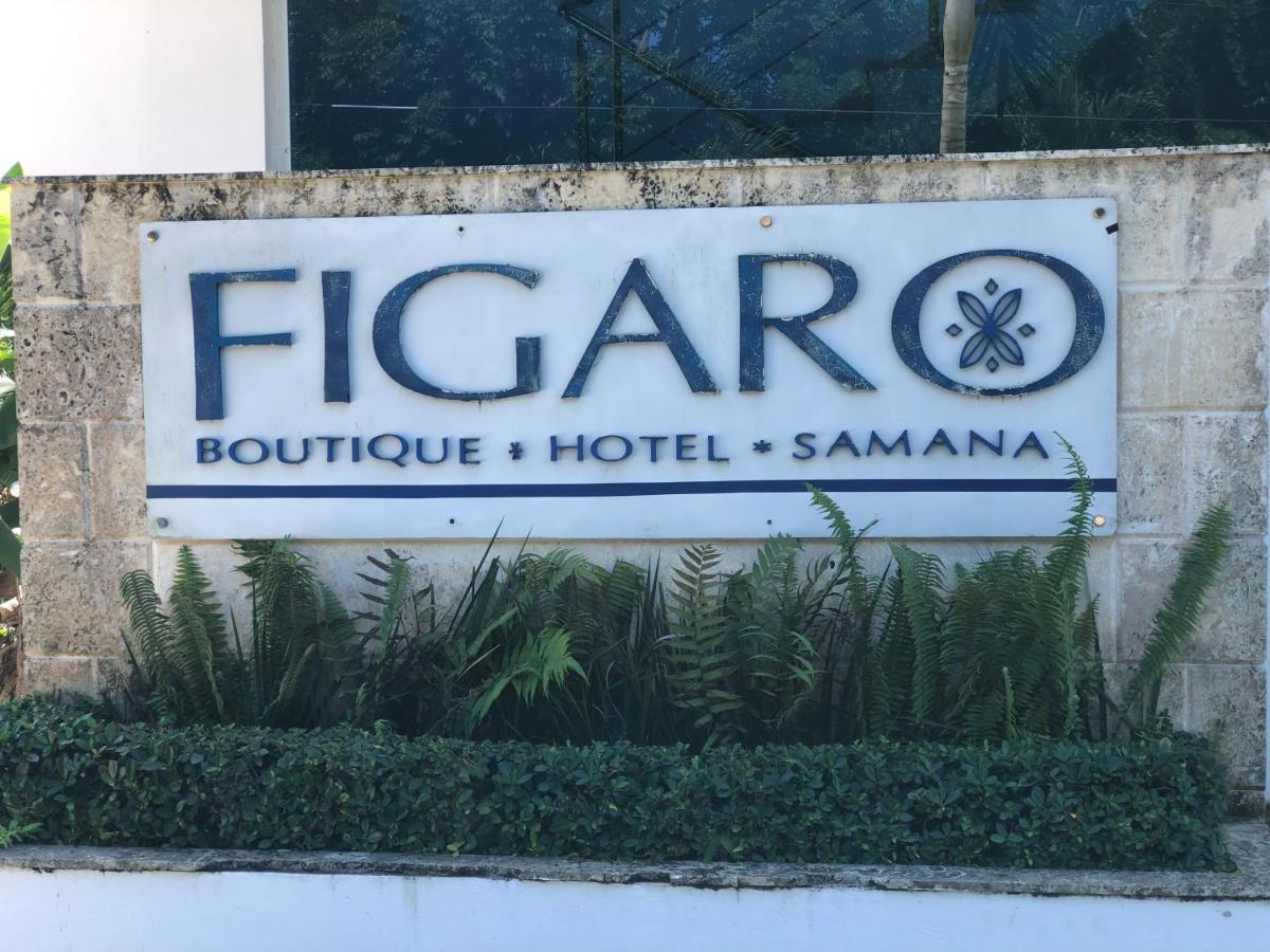 Figaro Hotel Samana Dış mekan fotoğraf